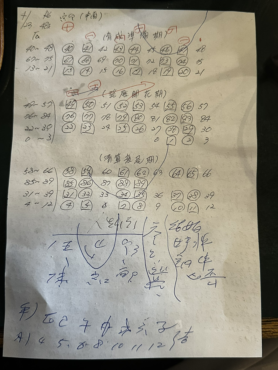 マスターの鑑定書
